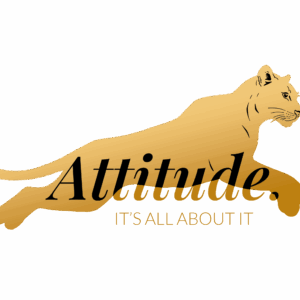 Le programme Attitude